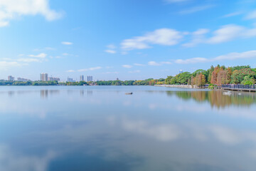 Obraz premium Guangzhou Haizhu Lake Park Lakes and Groves of Larch Trees