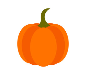 Pumpkin isolated on white background. Fruit icon design element. Vector illustration.
