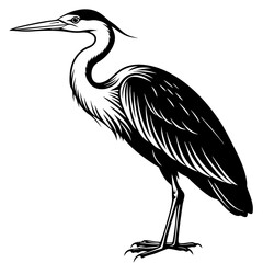 Heron vector silhouette on a white background 