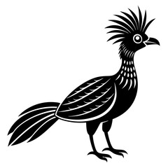 Fototapeta premium Hoatzin vector design on a white background