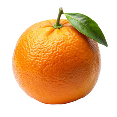 orange fruit with a white background