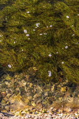 Costa en Santoña, Cantabria, España.
