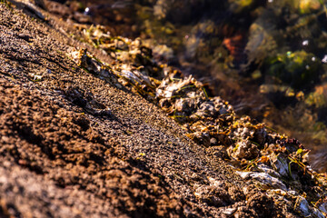 Costa en Santoña, Cantabria, España.