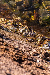 Costa en Santo&ntilde;a, Cantabria, Espa&ntilde;a.