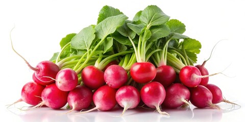 Several radishes isolated on background, radish, vegetable, healthy, organic, fresh, food, red, green, white, farm