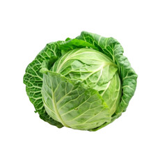 Cabbage portion on a white background