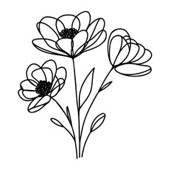 Poppy flowers in continuous line art drawing style. Vector illustration