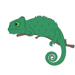 Simple flat salamander on a branch isolated transparent background. Green chameleon. Vector illustration can used t-shirt print, zoo poster banner template design. EPS 10 Editable stroke.