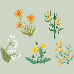 pattern vector design and illustration