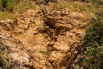 Top-down view of a rain-eroded sand slope