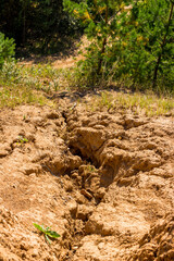 Top-down view of a rain-eroded sand slope