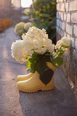Bright yellow rubber boots stand outside against a white brick wall with branches of blooming white...