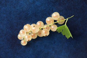 Fresh white currant berries and green leaf on blue plate, top view