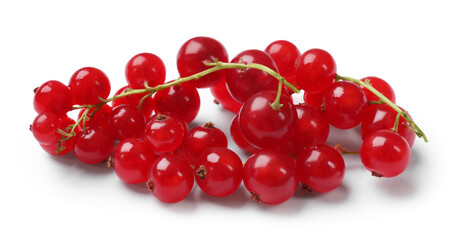 Fresh ripe red currants isolated on white