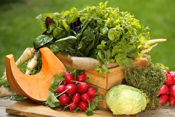Different fresh herbs and vegetables on wooden table outdoors