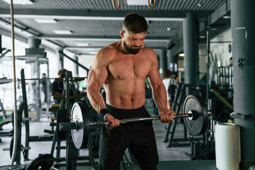 Fototapeta premium Muscular strong man is working out in the gym