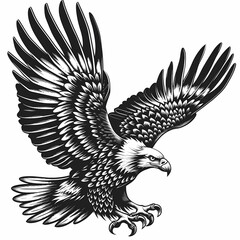 The eagle vector image