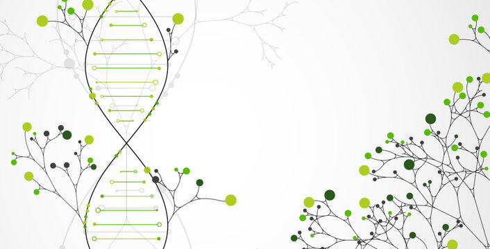 Scientific medical background with abstract image of dna molecule and tree branches. Hand drawn vector illustration.