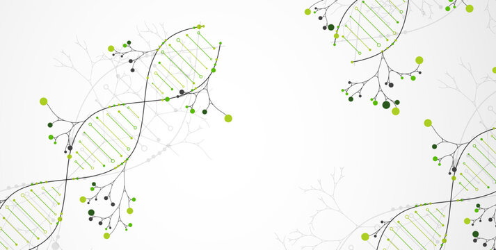 Scientific medical background with abstract image of dna molecule and tree branches. Hand drawn vector illustration.