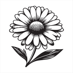 Daisy Flower Vector Art Illustration