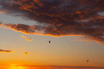 sunset over the sea