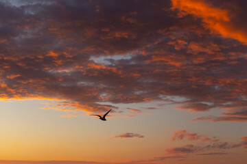 sunset over the sea