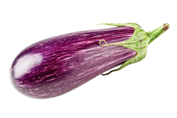 purple eggplant isolated on white or transparent png