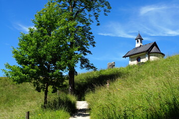 Kapelle der Seligpreisungen, Baum, Weg, Pfad, Fußweg, Wiese, Kirchleitnkapelle, Kapelle,...