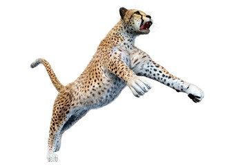 3D Rendering Big Cat Cheetah on White