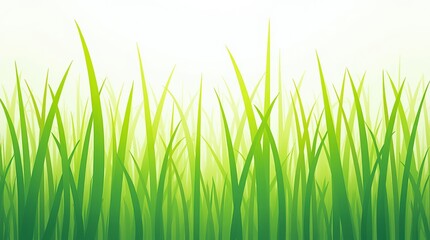 Fototapeta premium Seamless pattern of vibrant green grass on white background