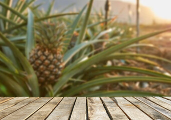 Wooden table top on blur pineapple field background in daytime. For montage product display or design key visual layout.View of copy space.