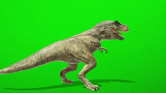 dinosaur green screen, dinosaur crying barking green screen, raptor chroma key