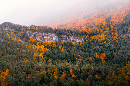 Autumn colors in the Aragonese Pyrenees, Spain