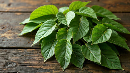 Green leaves on wooden background, empty space, place for text