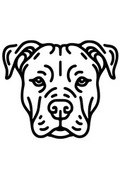 Dog Breed SVG, Dog Line Art, French Bulldog SVG, Labrador SVG, Rottweiler SVG, Pet SVG, Dog Design, Dog Silhouette, Akita SVG, Maltipoo SVG, Cut file for Cricut SVG, JPG, PNG