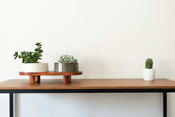 Succulents potted plants on wooden desk minimalist home decor. Workplace concept