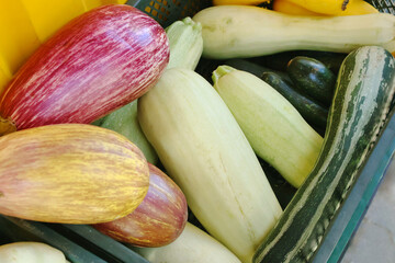 A farm market with ripe seasonal vegetables, including zucchini, pumpkin, pattypan squash, carrot,...