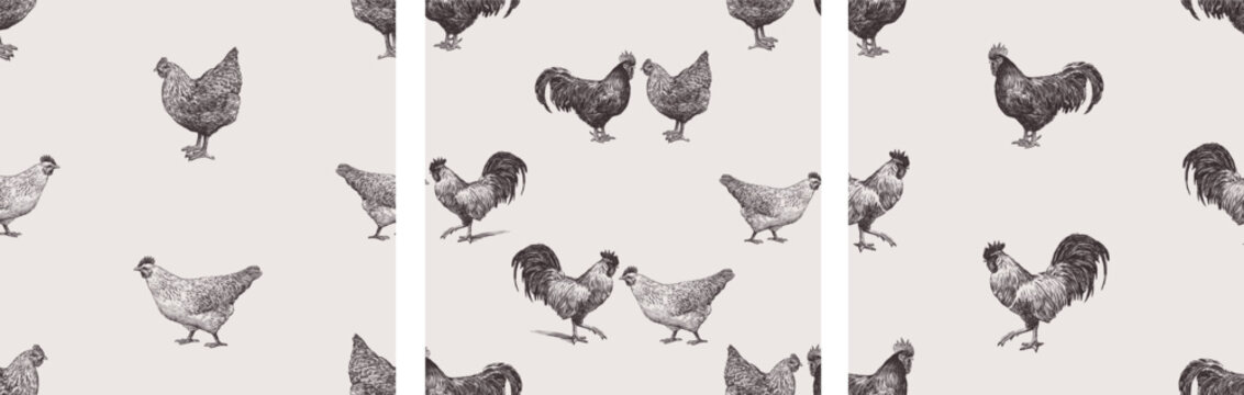 Seamless patterns of sketches various farm roosters and hens, realistic hand drawings, vector backgrounds, wallpaper, paper