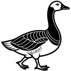 goose isolated