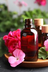 Bottles of geranium essential oil and beautiful flowers on black table, closeup