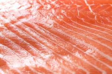 Fresh salmon as background, closeup. Sea food