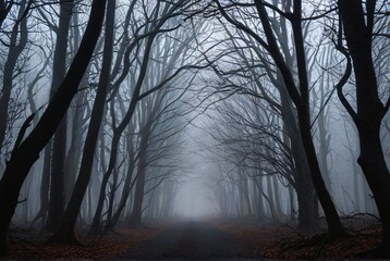 Misty forest path with bare trees and ethereal atmosphere

