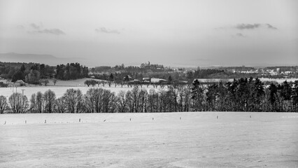 A tranquil winter landscape features expansive snow-covered fields and a distant view of trees. The grey skies add to the peaceful atmosphere, creating a perfect winter day for contemplation.