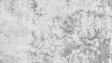 Fototapeta premium white wall texture