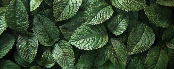 Layered 3D leaves with natural textures, 4K hyperrealistic photo