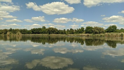 reflection of trees in water