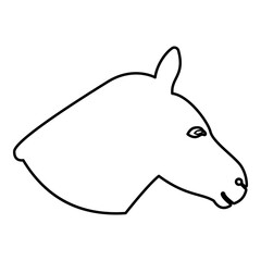 Donkey head silhouette contour outline line icon black color vector illustration image thin flat style