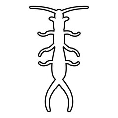 Earwig contour outline line icon black color vector illustration image thin flat style