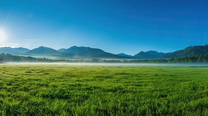Fototapeta premium Serene Morning Landscape