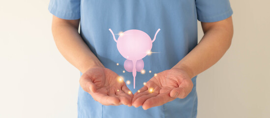 Man holding healthy bladder and prostate gland hologram. Awareness of BPH, prostate cancer, bladder...